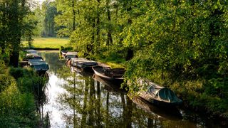 Campingplaetze Spreewald: Schiffe in der Abendsonne im Spreewald